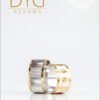 RM 038 Makina Alyans - DYG Alyans