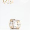 RM 047 Makina Alyans - DYG Alyans