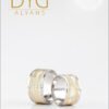 RM 072 Makina Alyans - DYG Alyans